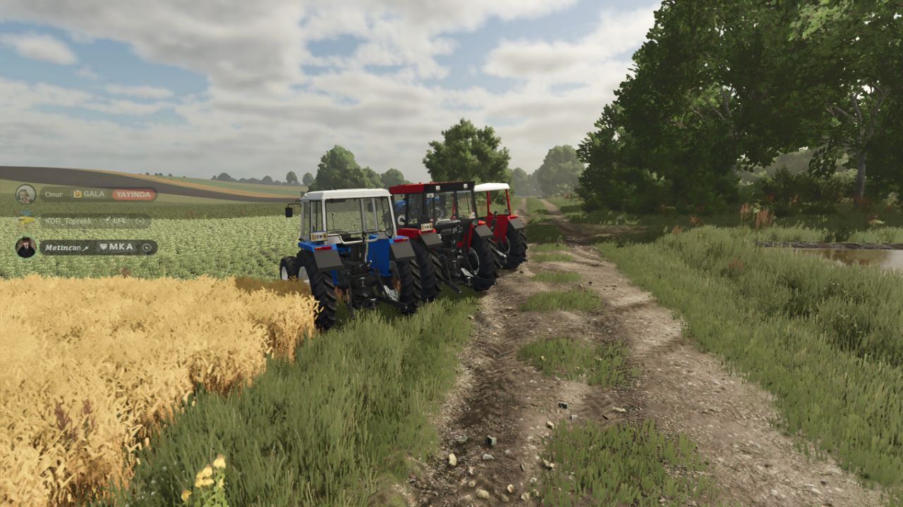 Fiat New Holland 56-66 Series Edit