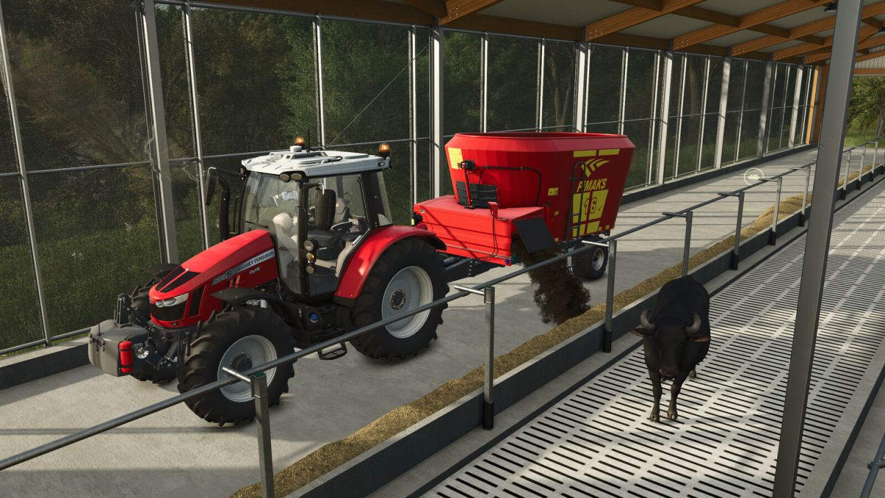 Пакет Фимакс FMV