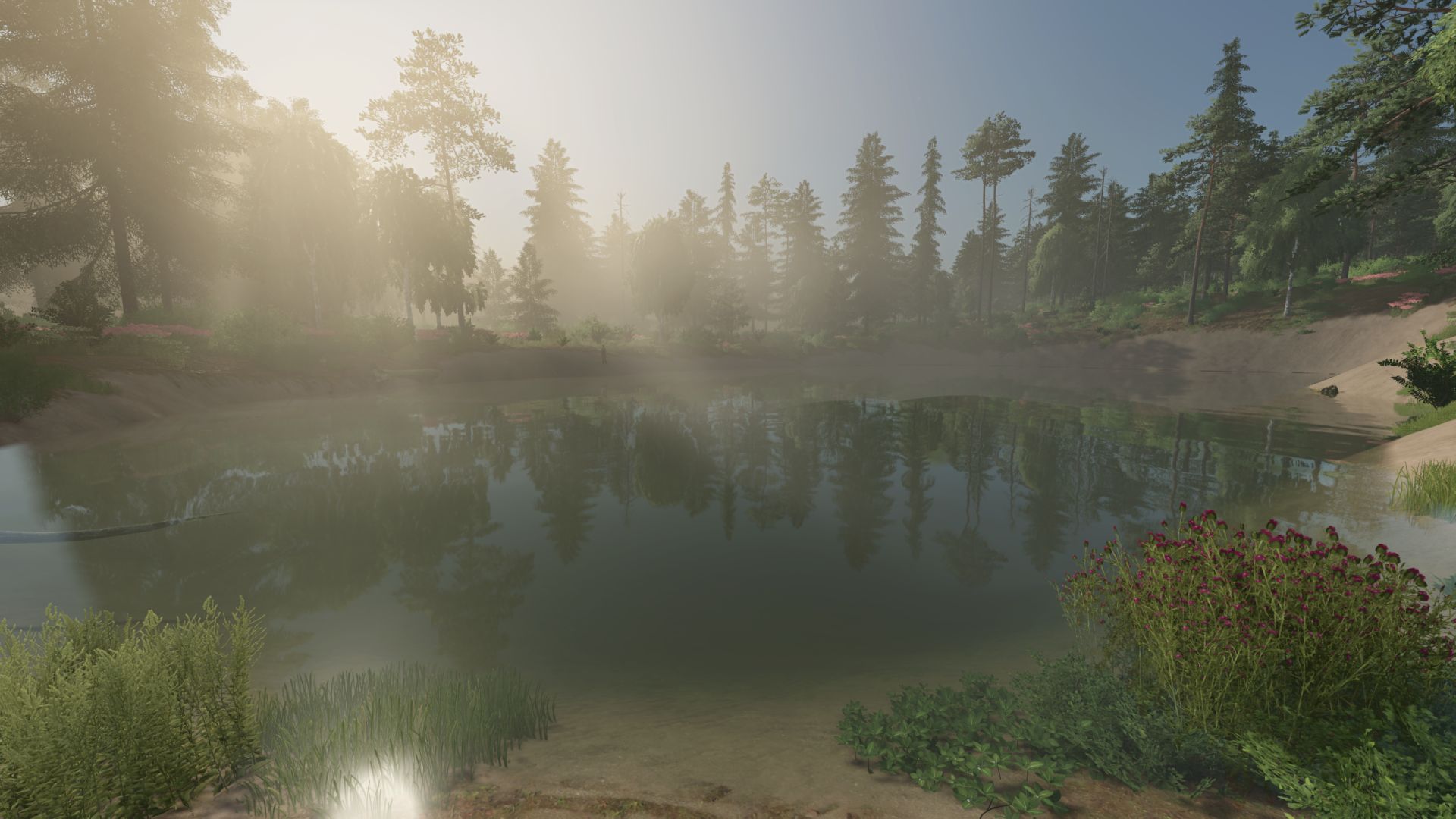 Contrôle du brouillard