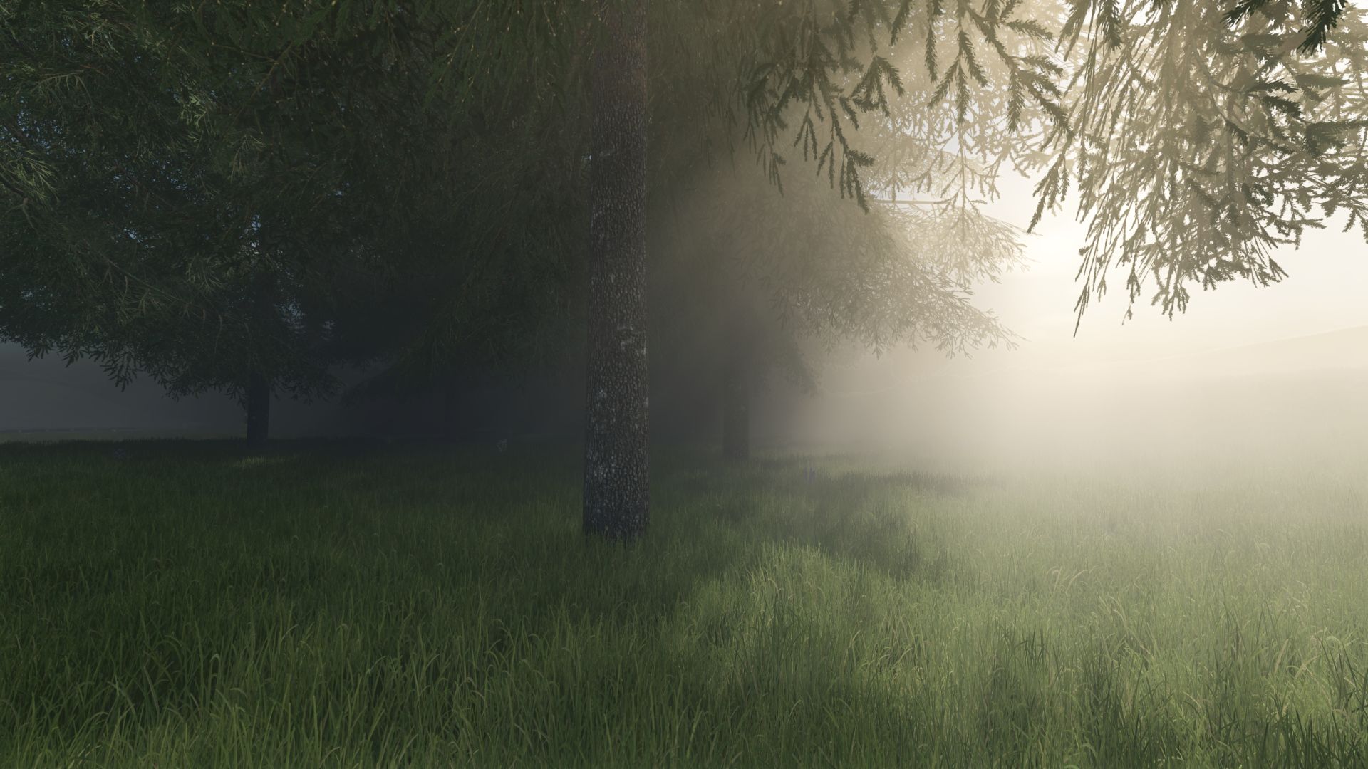 Contrôle du brouillard