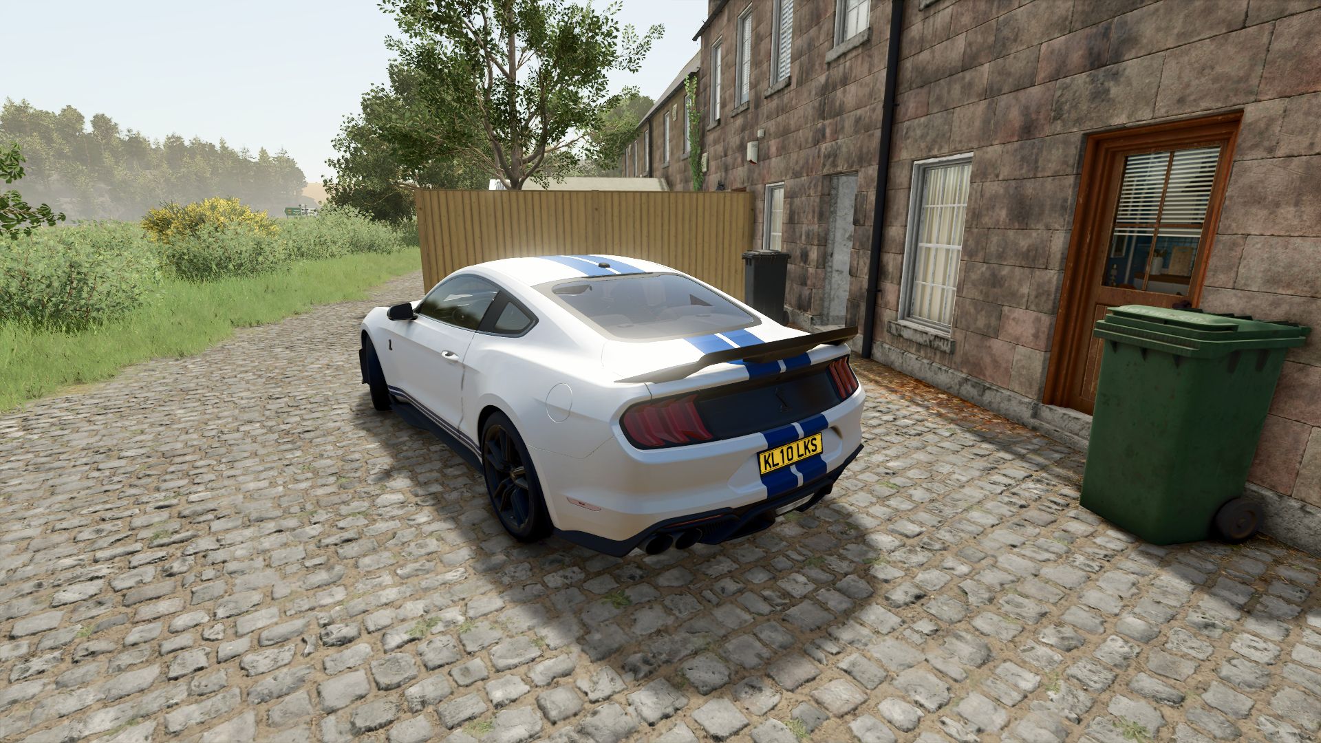 Ford Mustang Shelby GT500 2020
