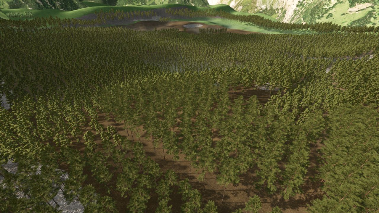 Desafío forestal