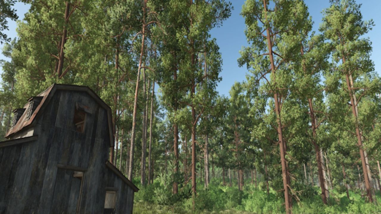 Convertitore di foreste
