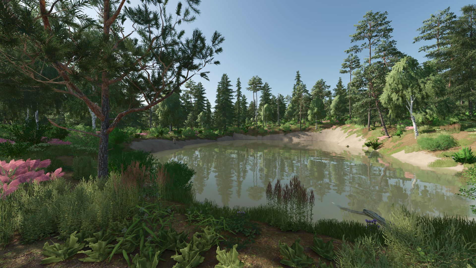Forest Valley