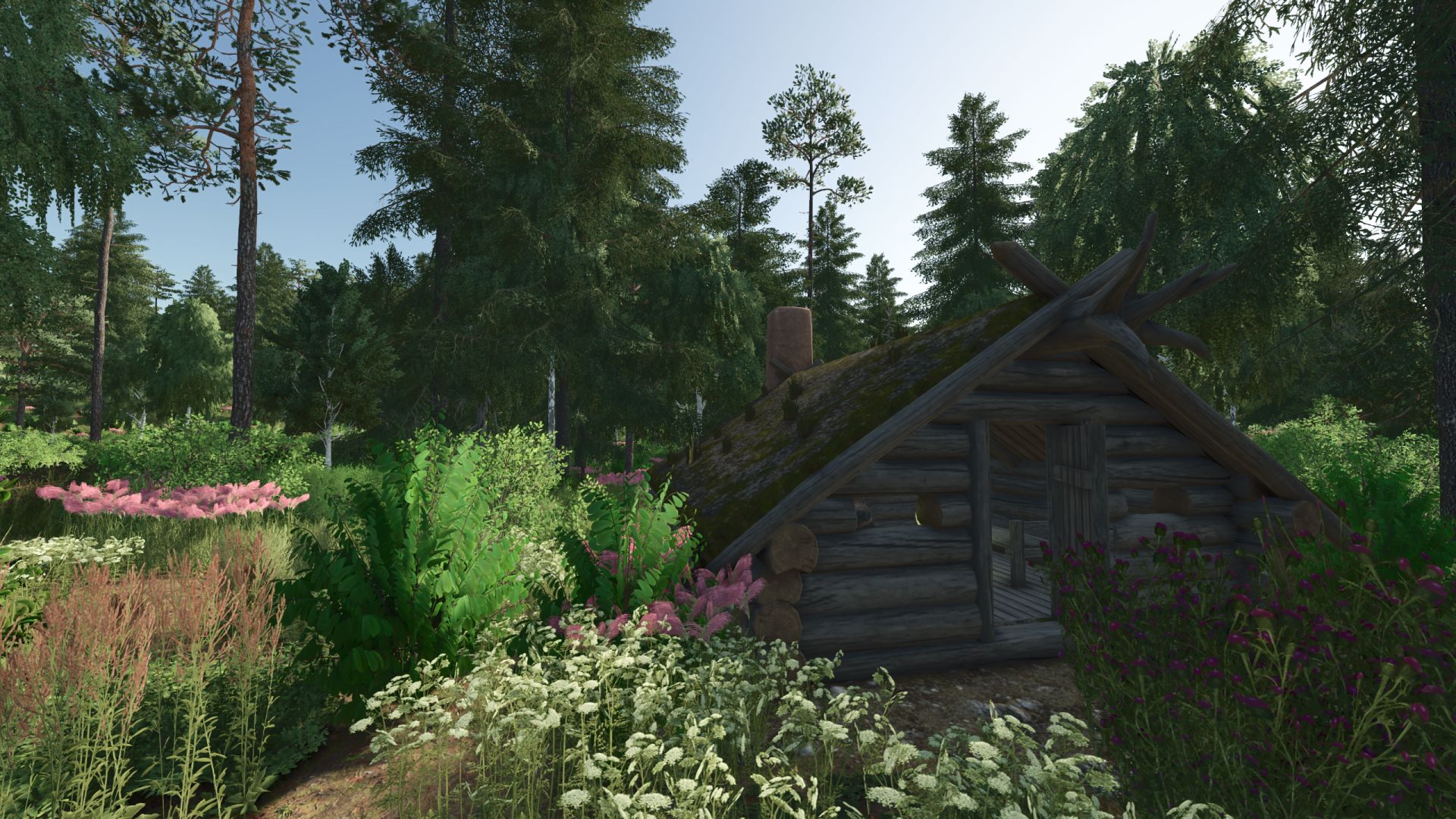 Forest Valley