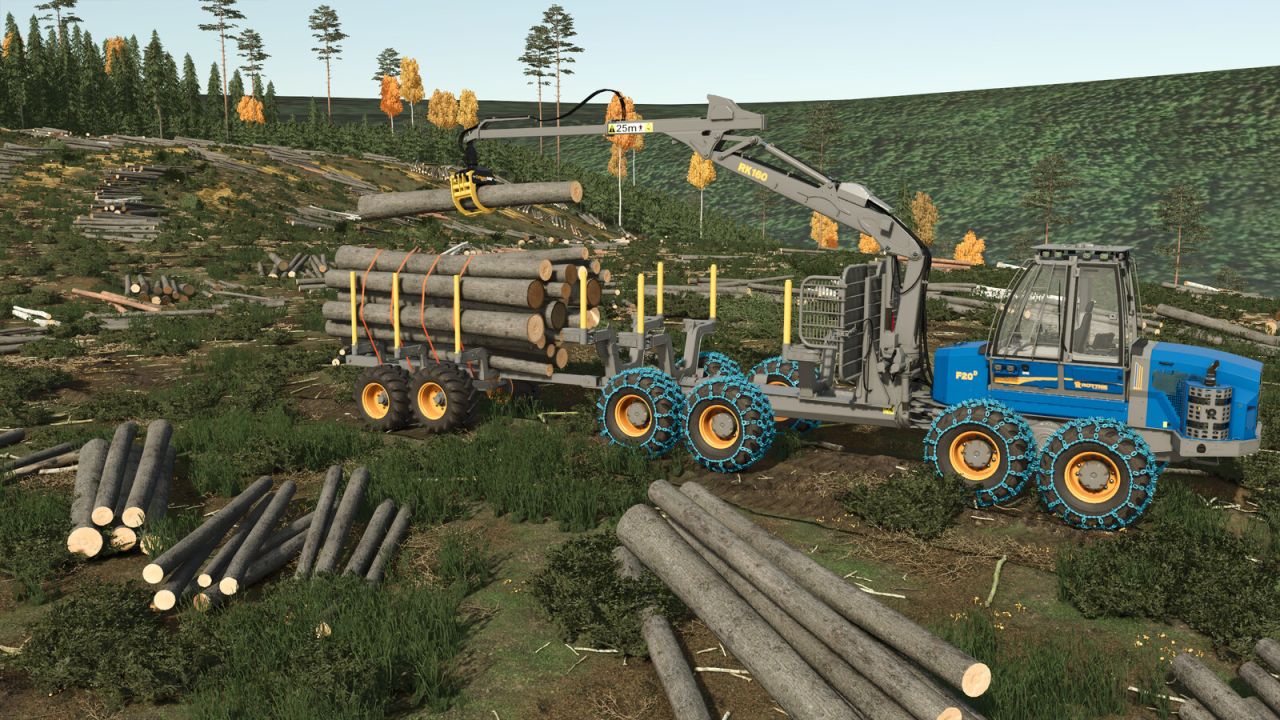 Rimorchio dello spedizioniere