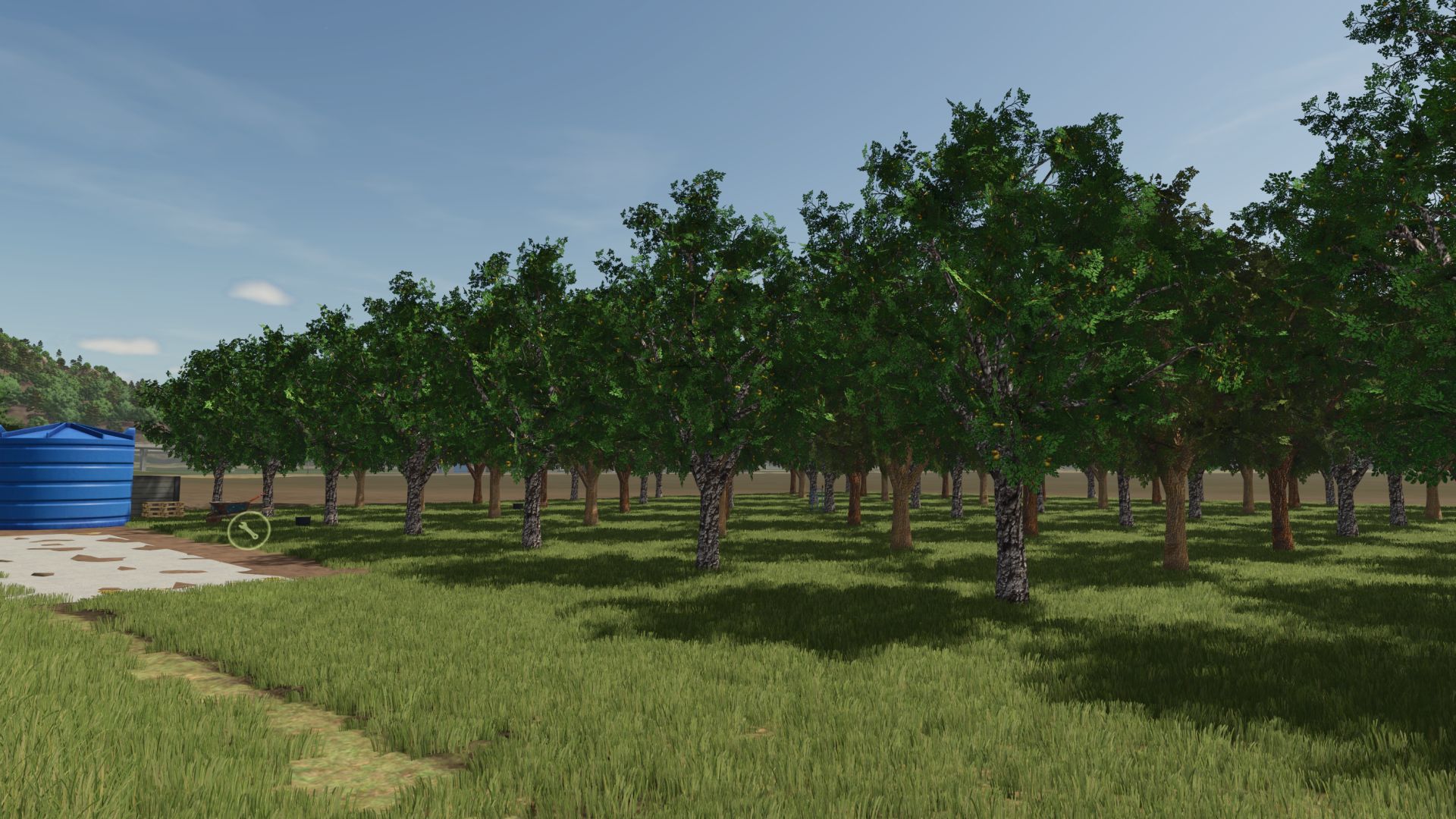 Fruit orchards