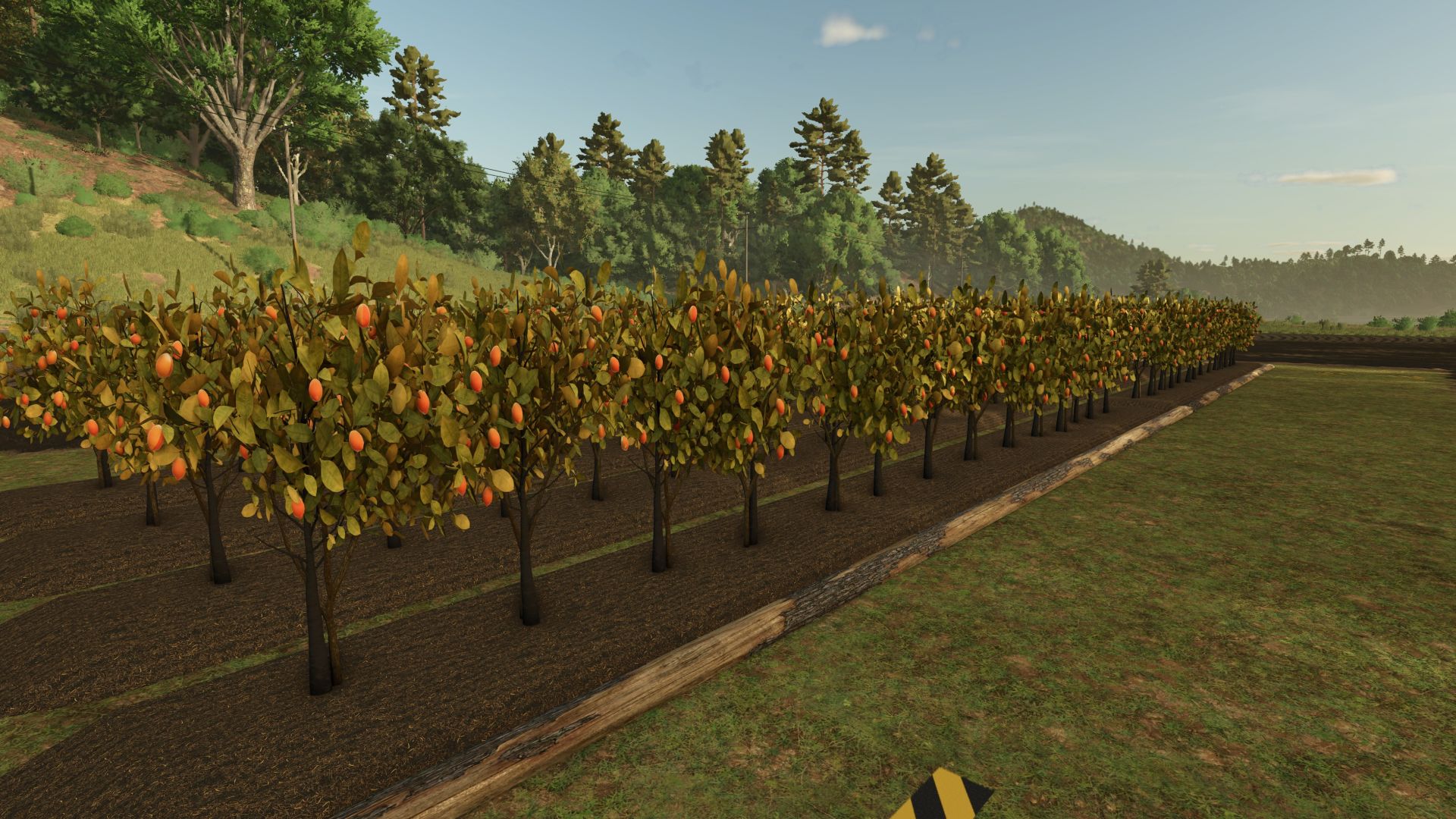 Fruit orchards