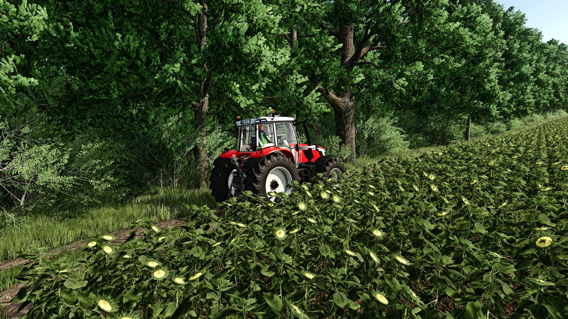 FS Realistic Shader