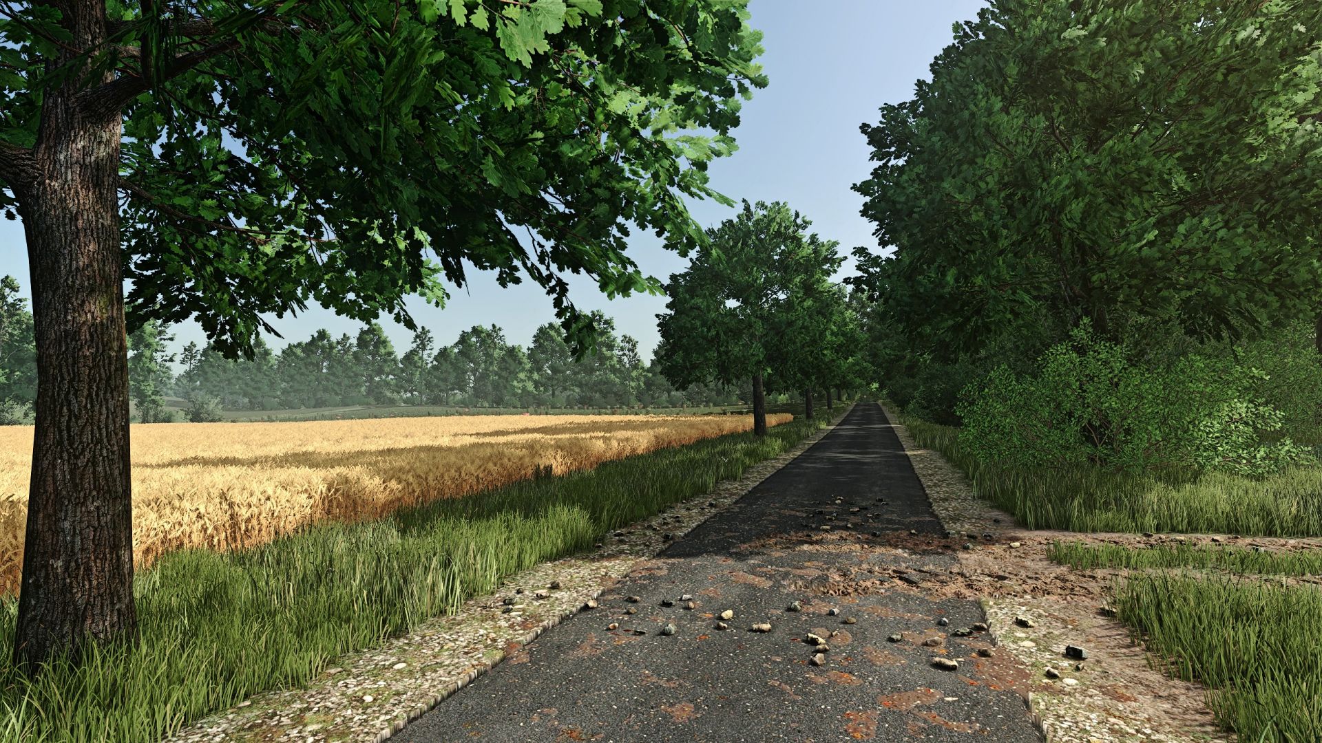 FS Realistic Shader