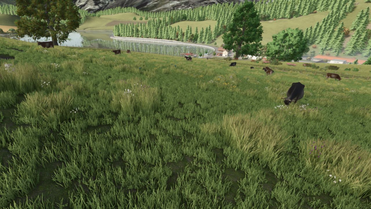 Textures de la carte alpine FS22