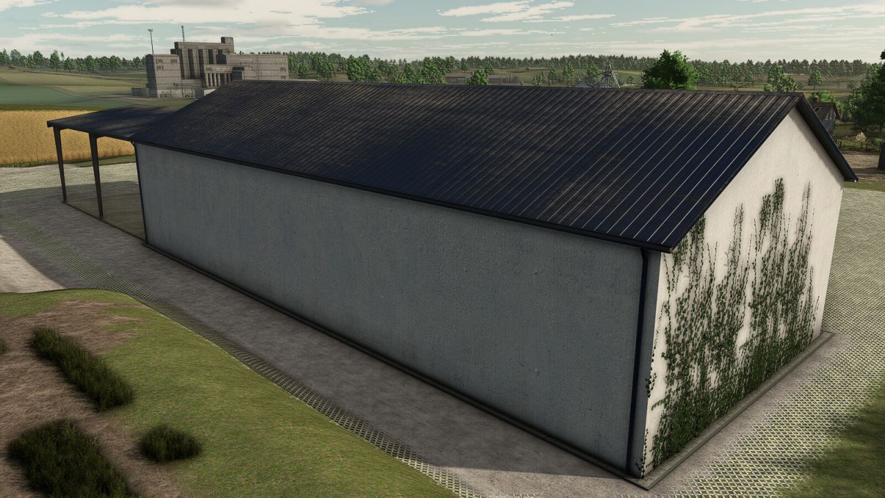 Garage With Shed