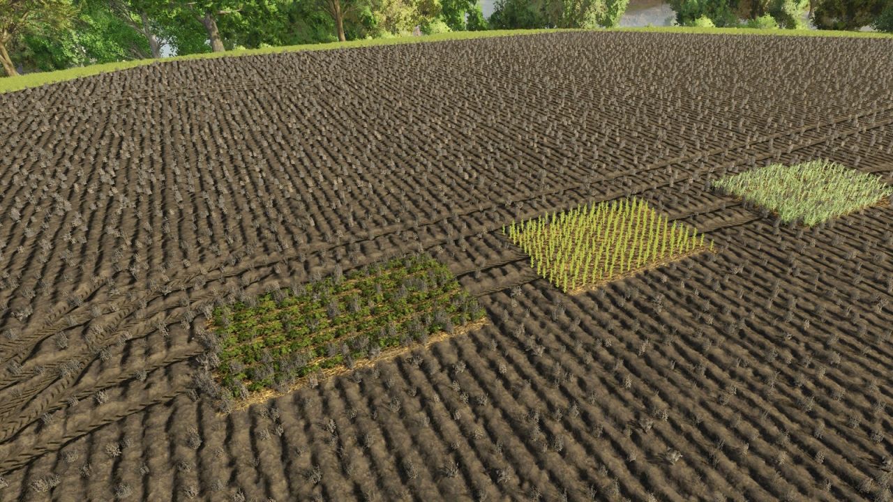GL860 Multi Planter