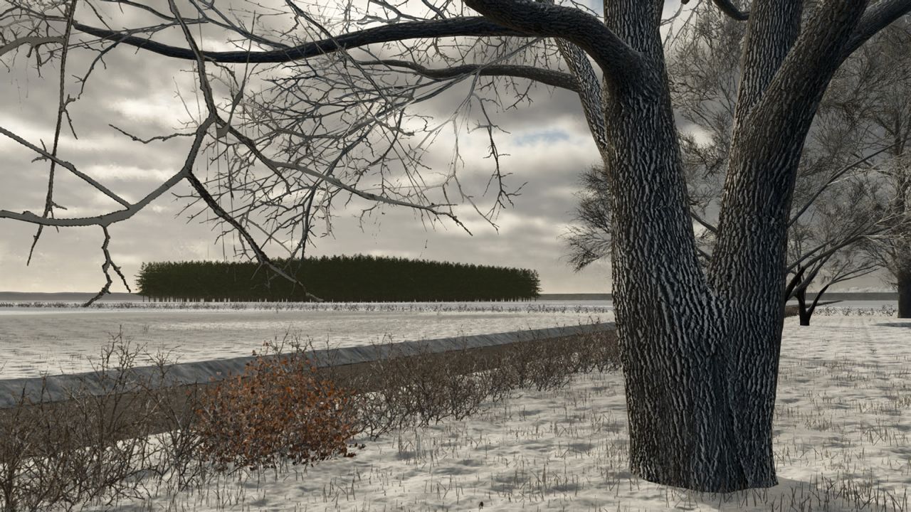 Golden Lands