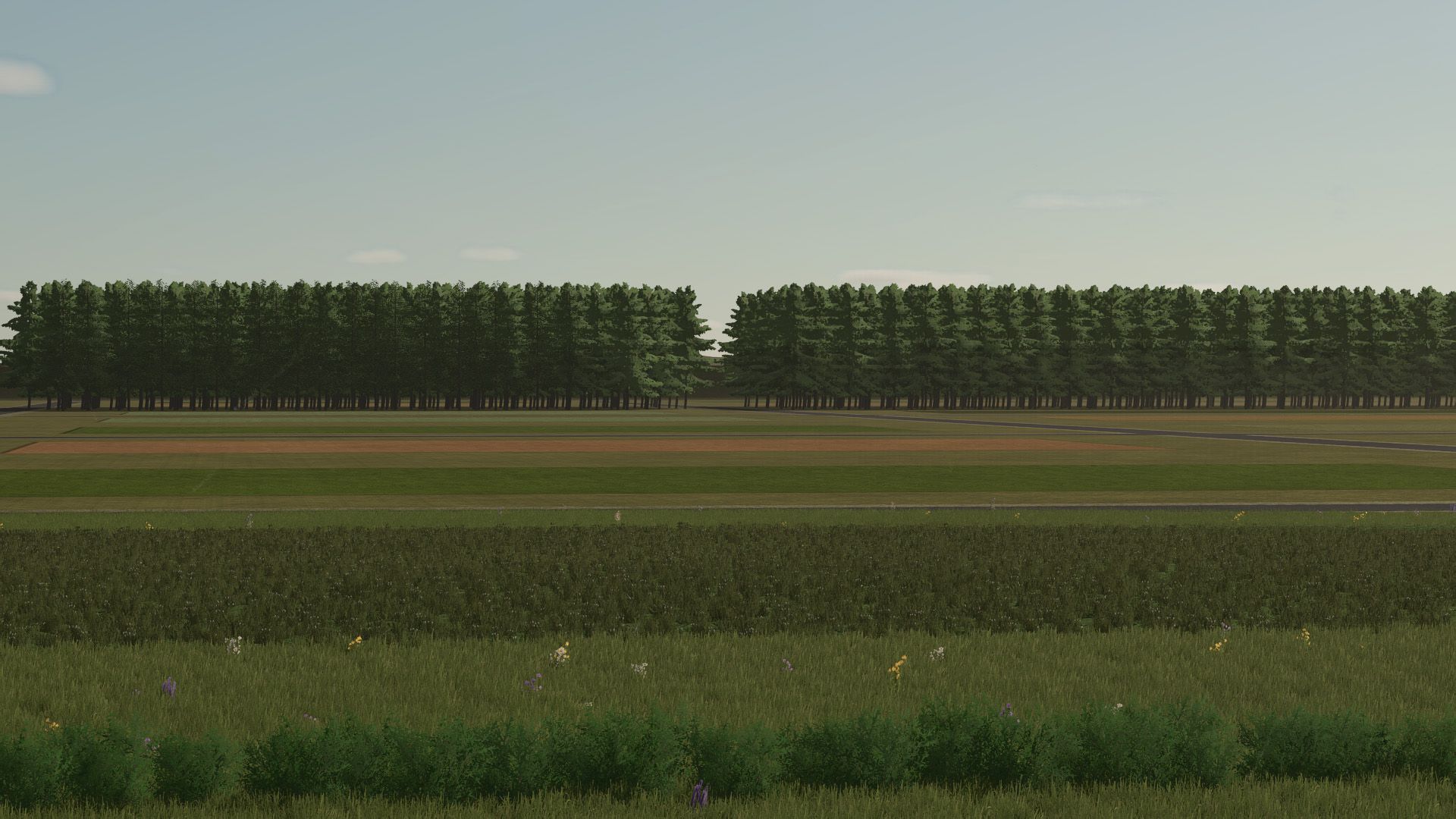Golden Lands