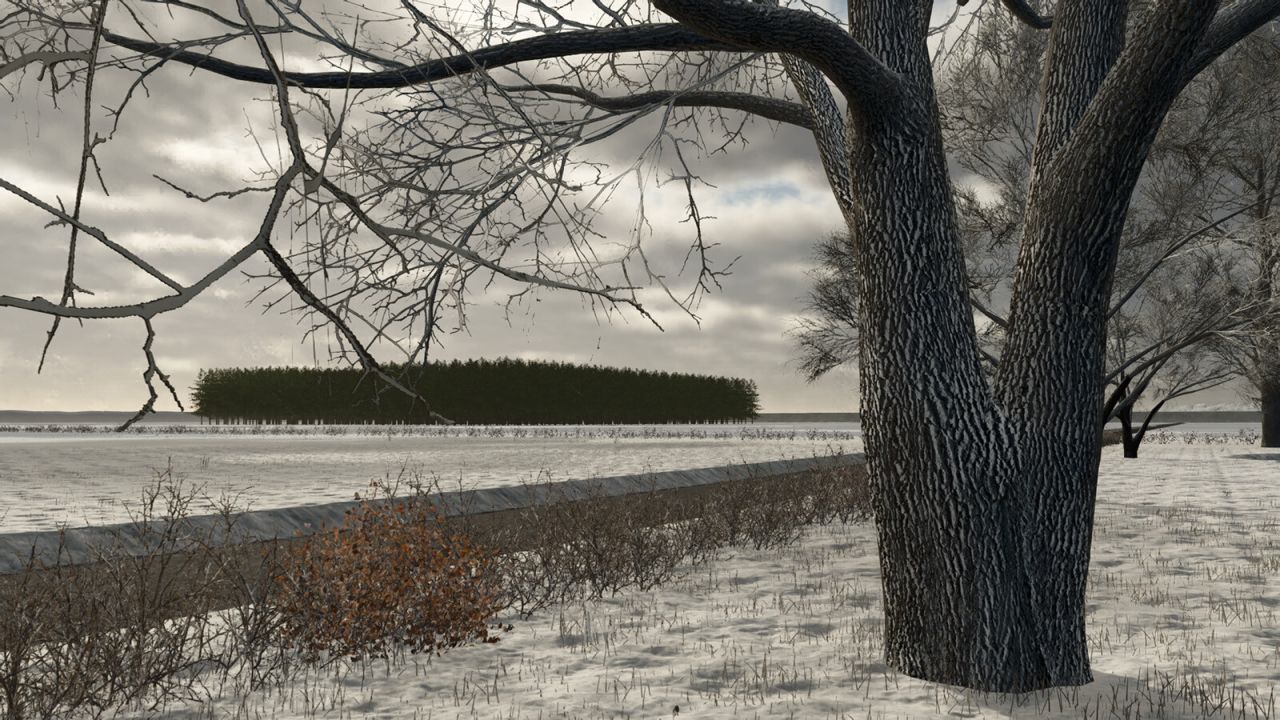 Золотые Земли