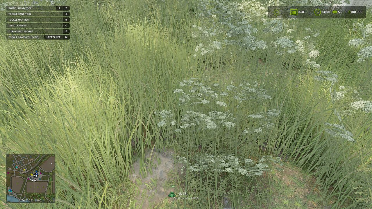 Grass Collection