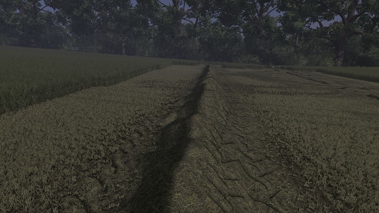 Grass Texture FS25