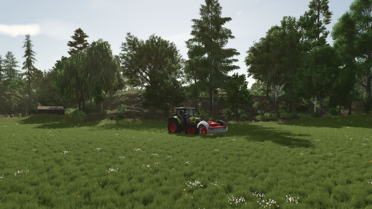 Gras mit Löwenzahn und Gänseblümchen