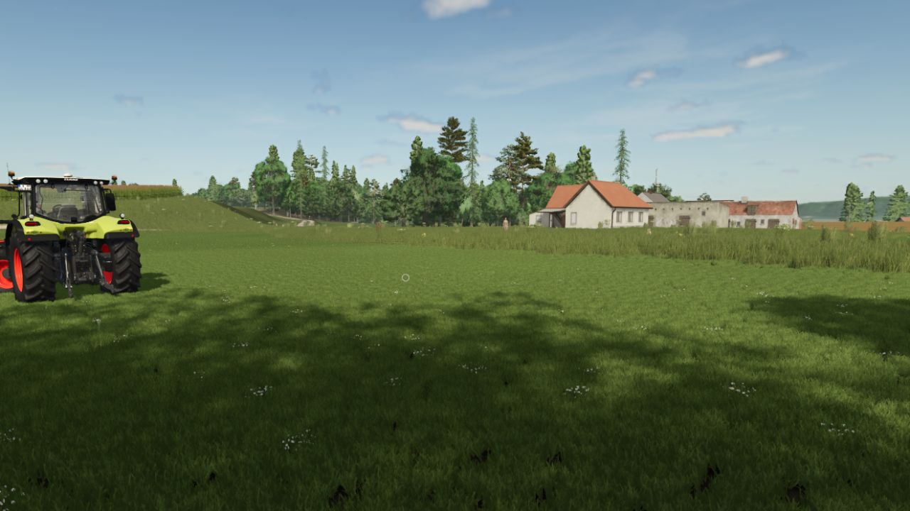 Gras mit Löwenzahn und Gänseblümchen