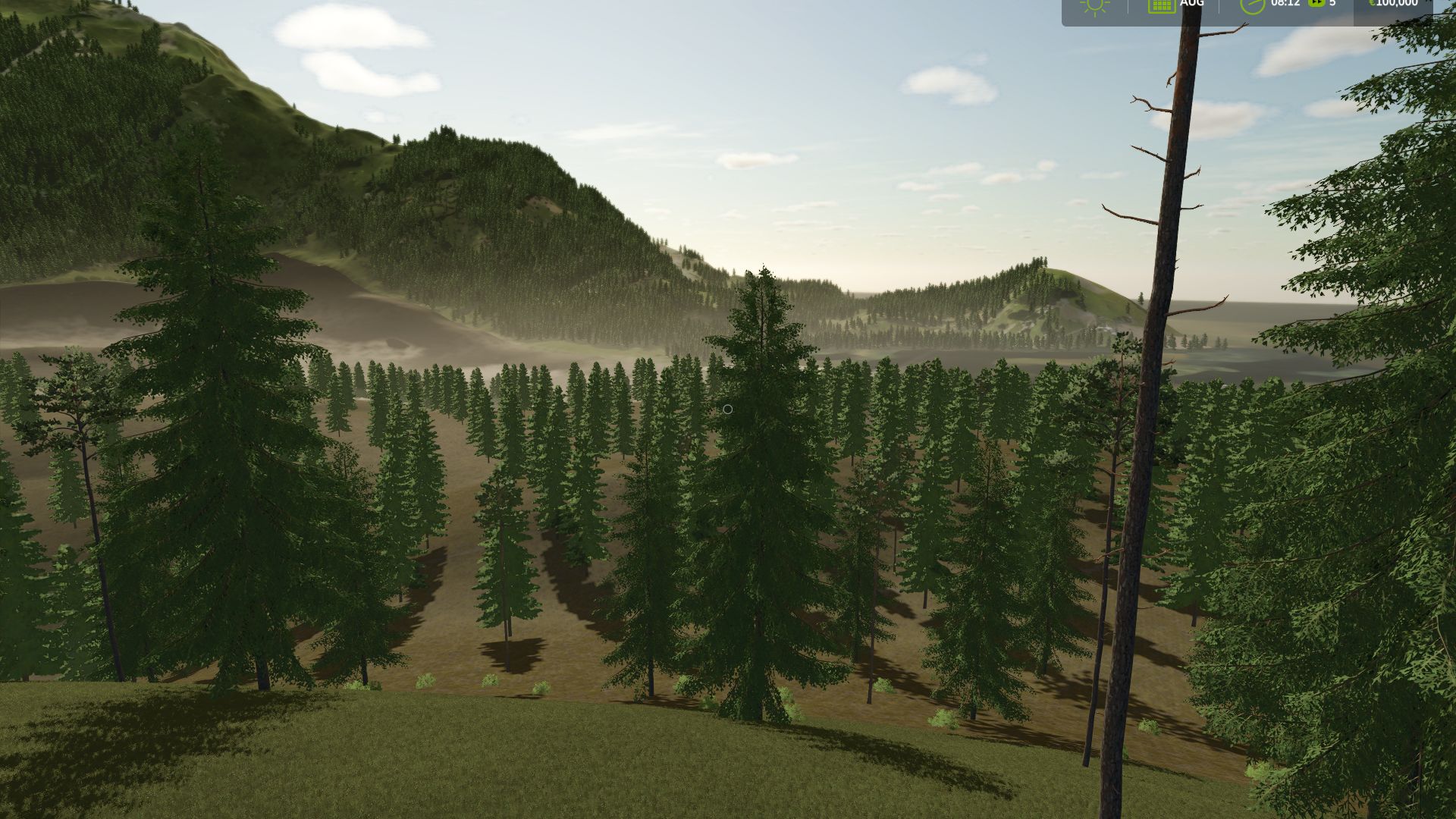 Green Forest