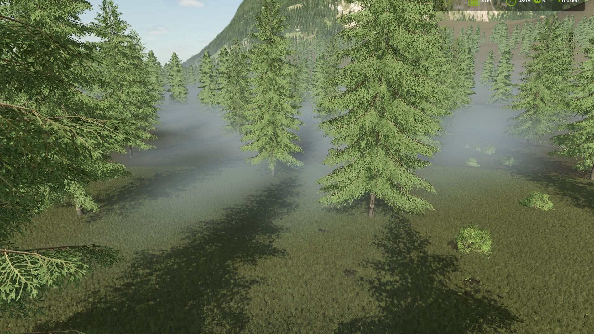 Green Forest