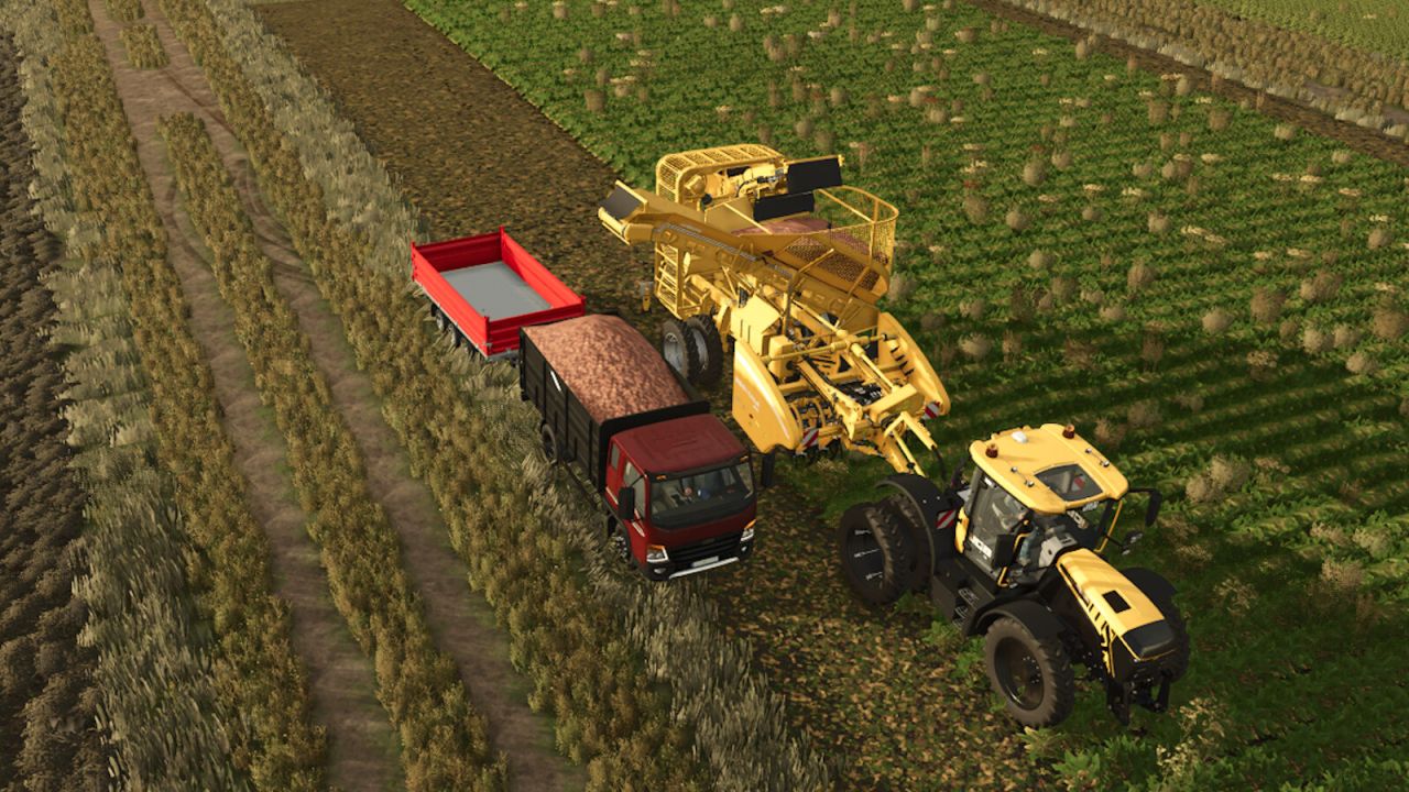 Grimme FT300 And Rootster604