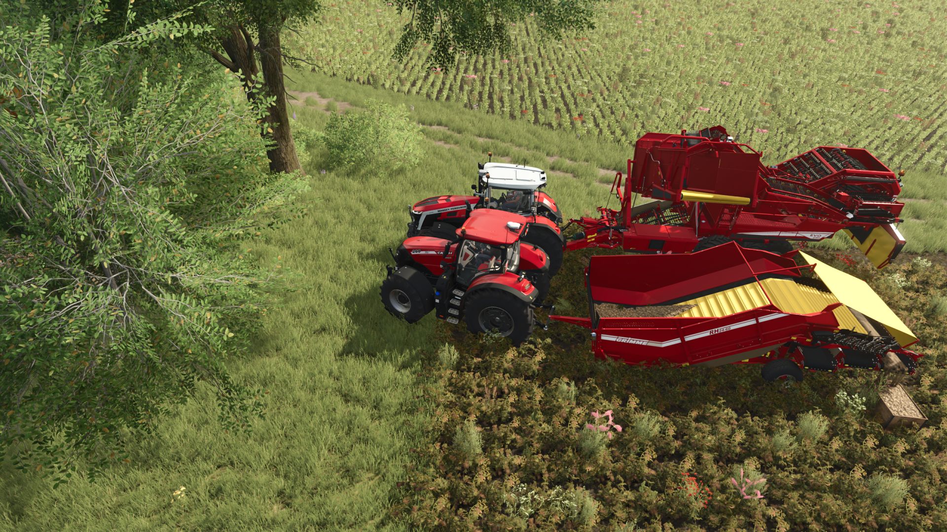 Pacote Grimme
