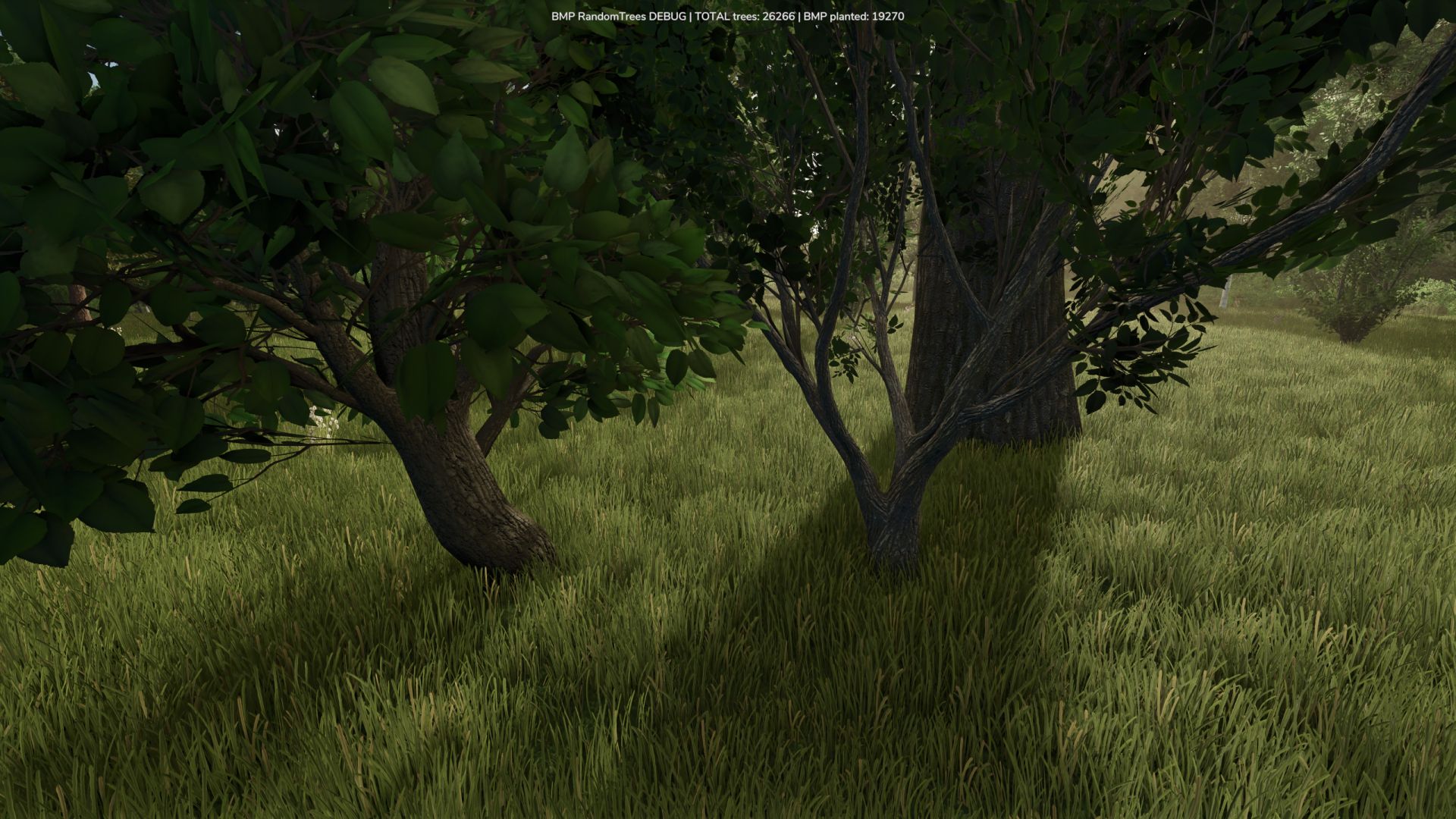 Crescere alberi casuali