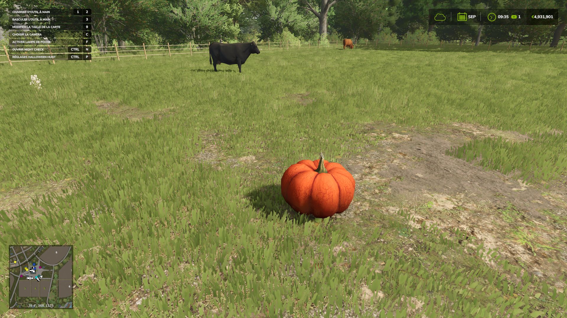 Halloween Hunt