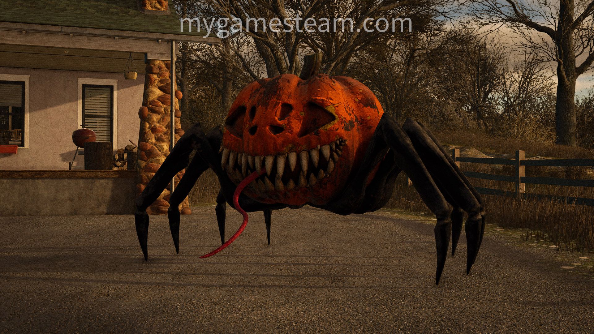 Halloween Spider Pumpkin