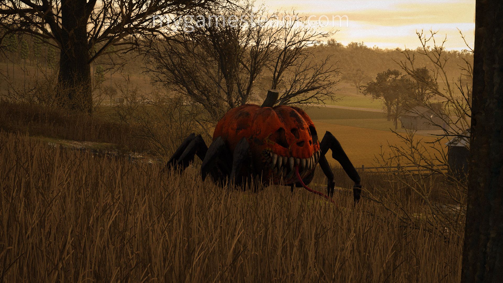 Halloween Spider Pumpkin