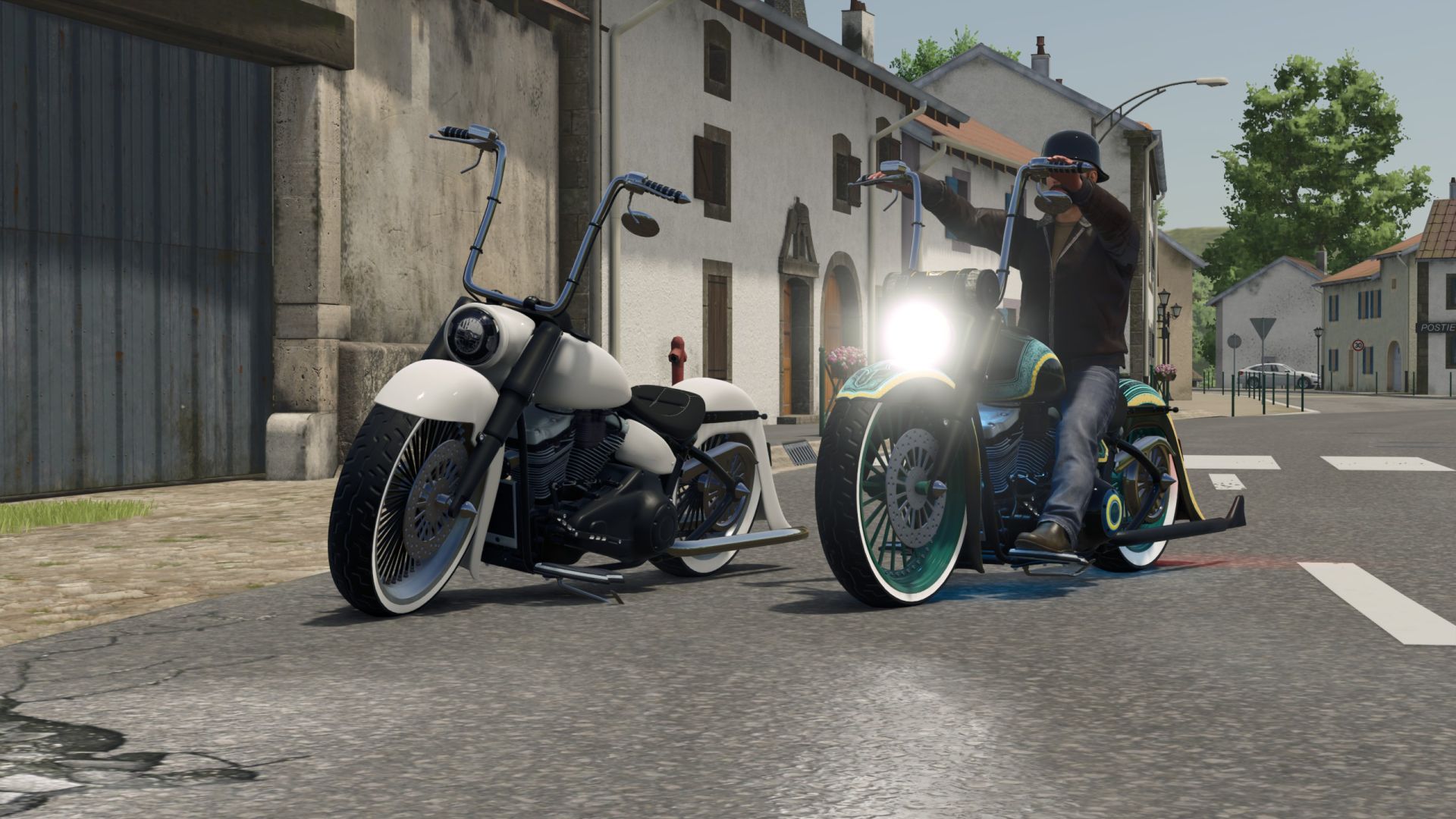 Harley Softtail Custom