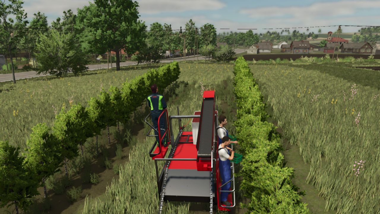 Brigata del raccolto (Multifrutto)