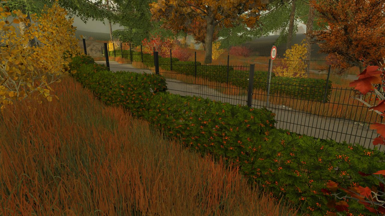 Hedges Pack