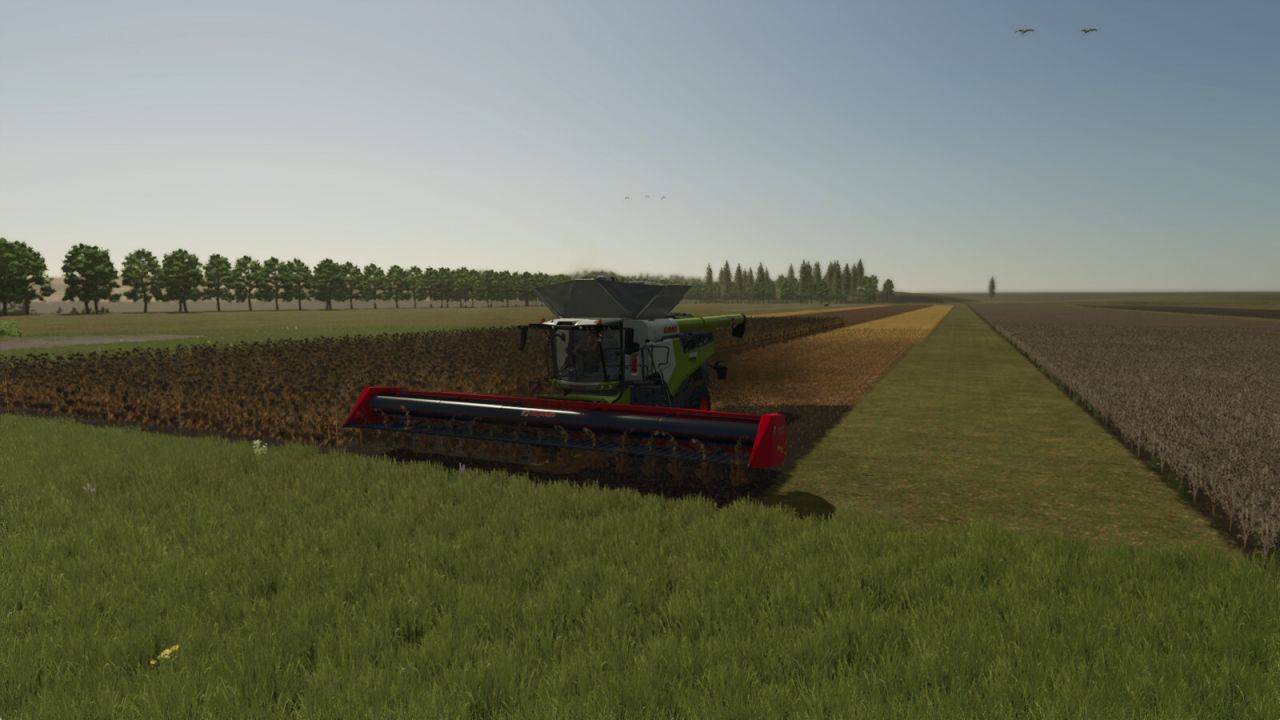 Helianthuspakket