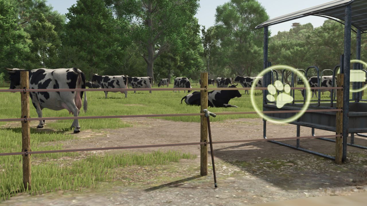 Herdsman's stok
