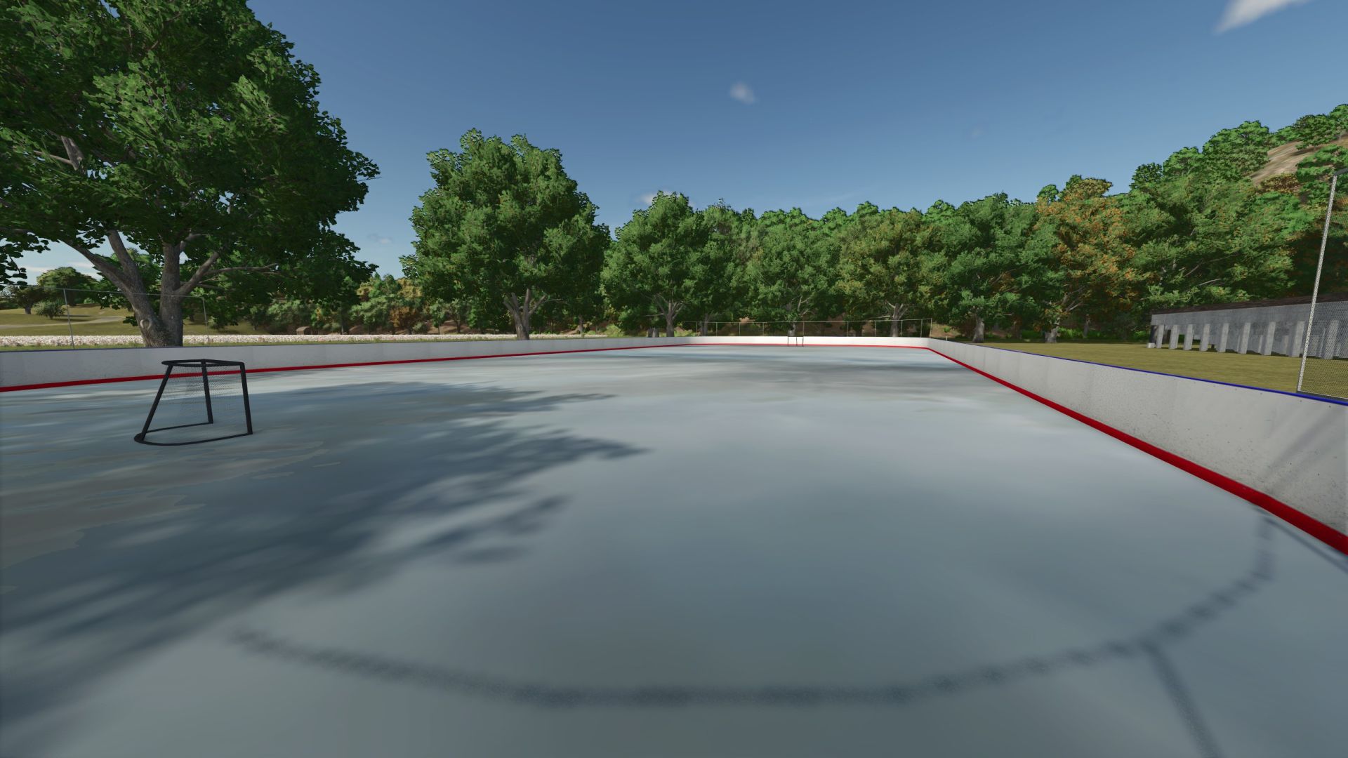 Hockey Rink