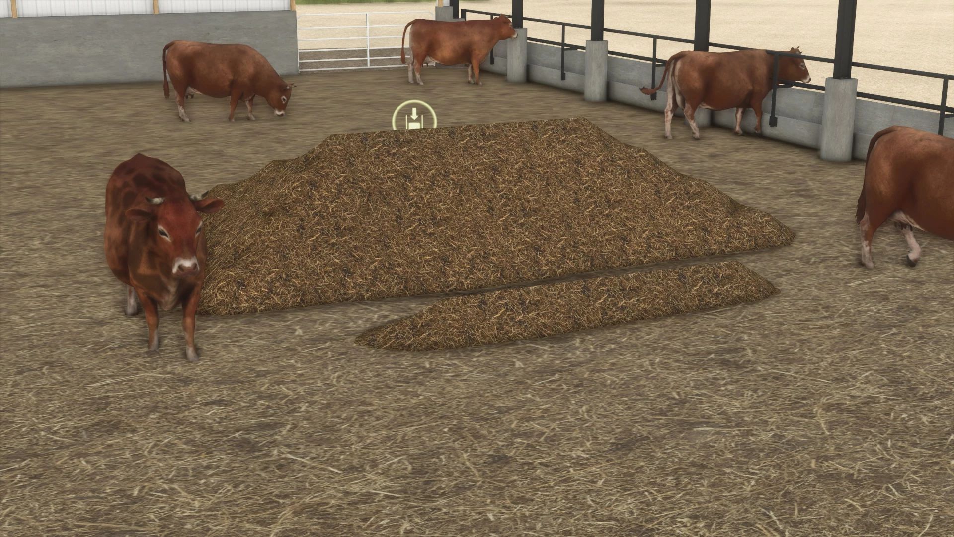 Hoop Cattle Barn