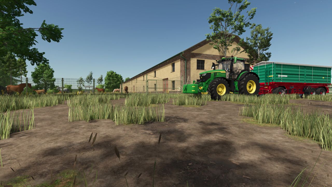 Horse Barn Big