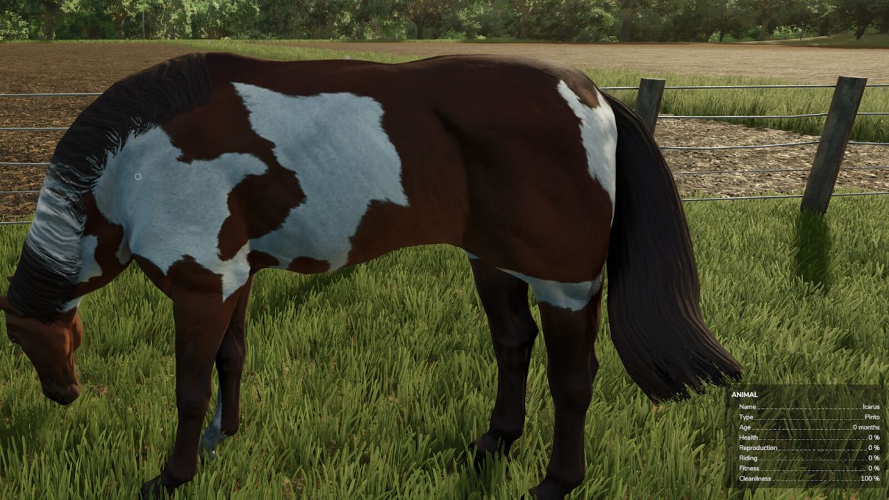 HorseHelper