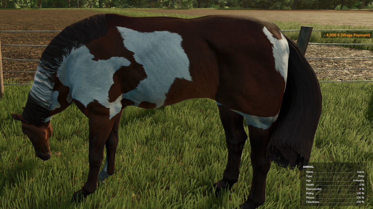 HorseHelper