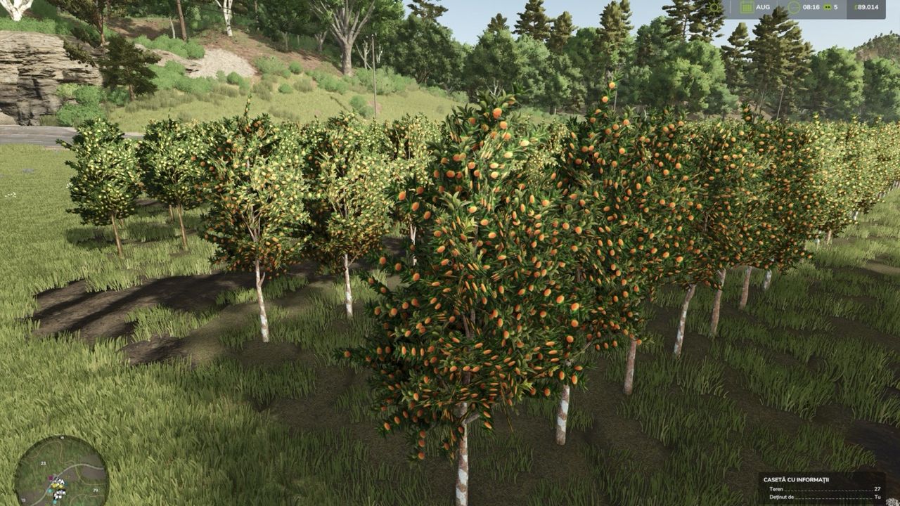 Hutan Pantai Real Orchards - Multifruit