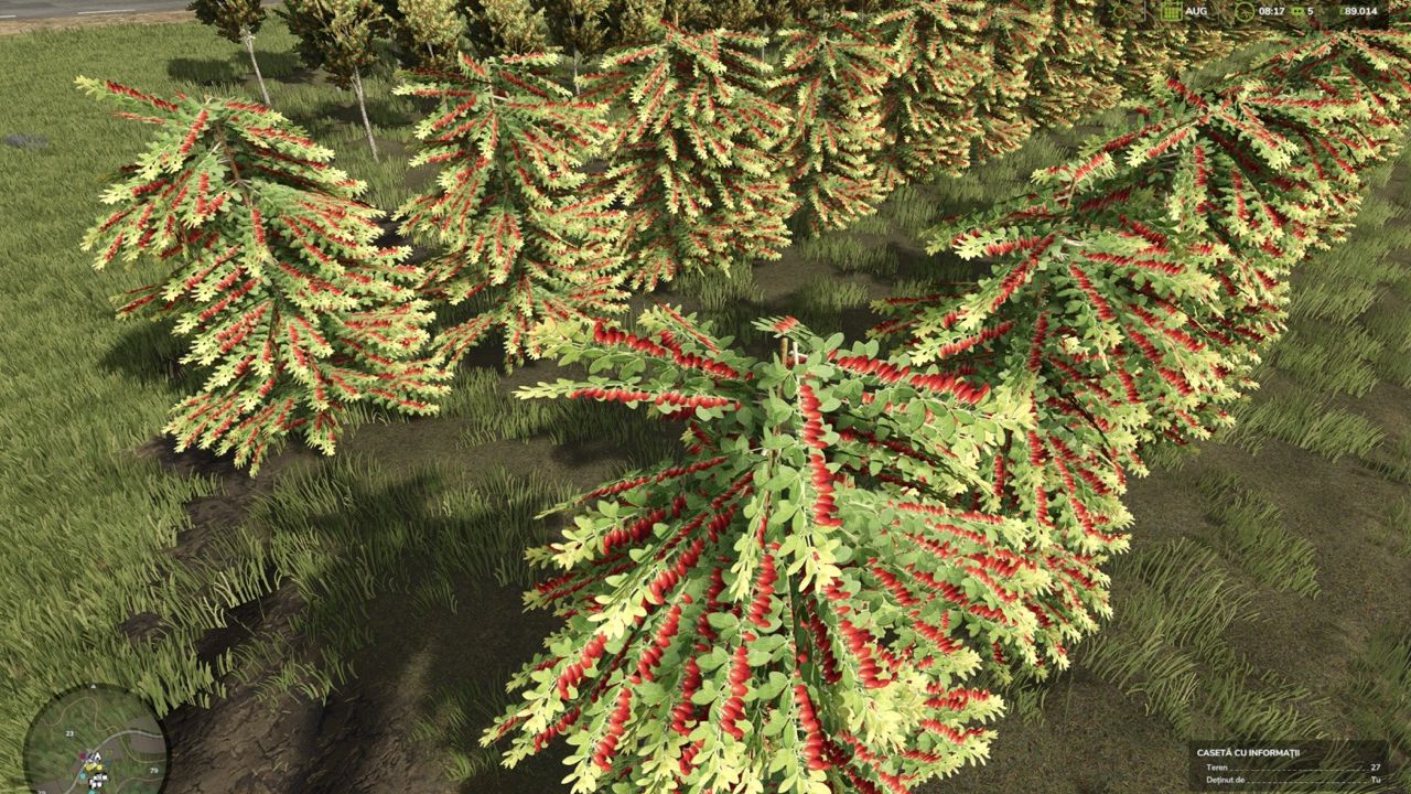 Hutan Pantai Real Orchards - Multifruit