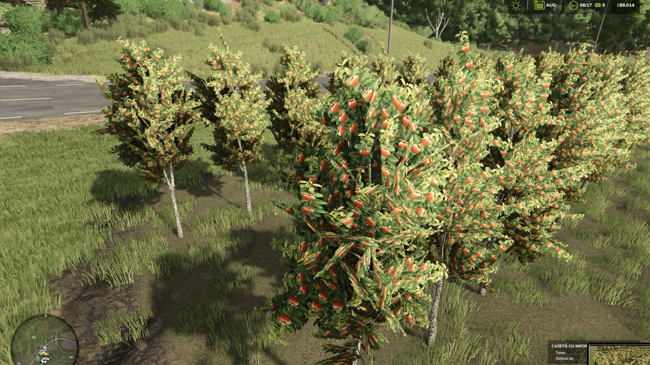 Hutan Pantai Real Orchards - Multifruit