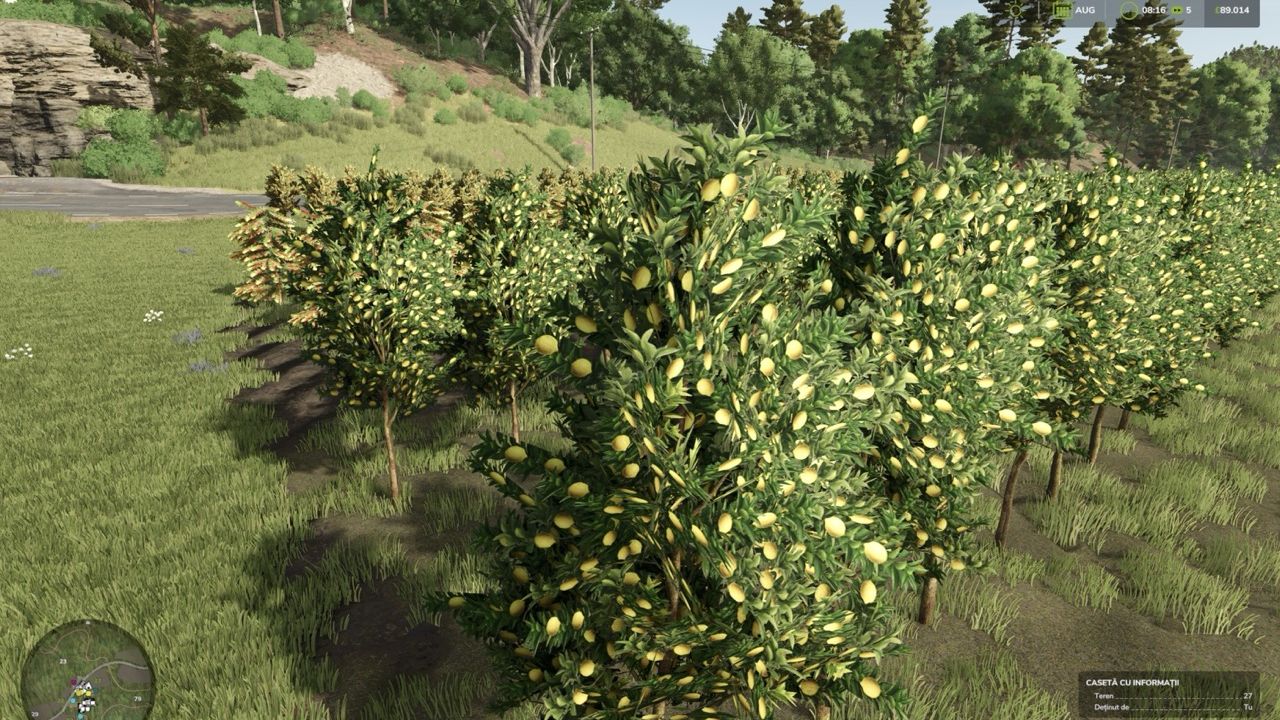 Hutan Pantai Real Orchards - Multifruit