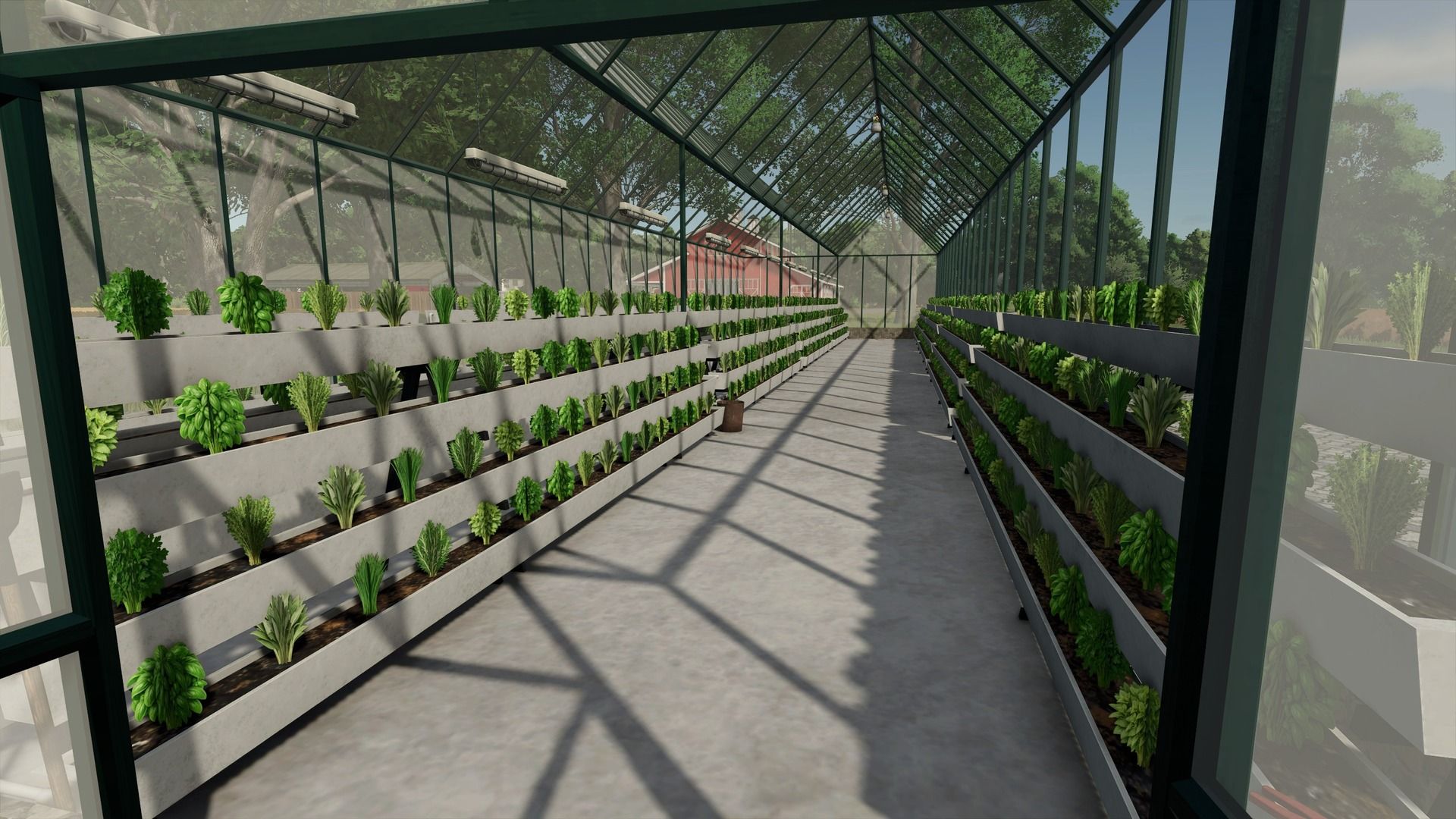Invernadero hidropónico – Cultivo de hierbas