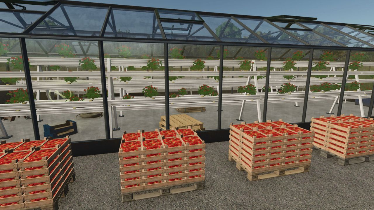 Hydroponics Greenhouse