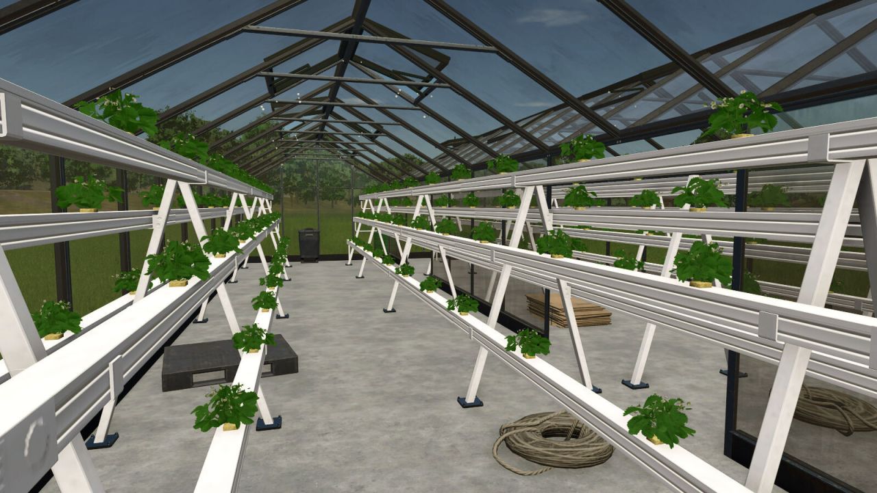 Hydroponics Greenhouse