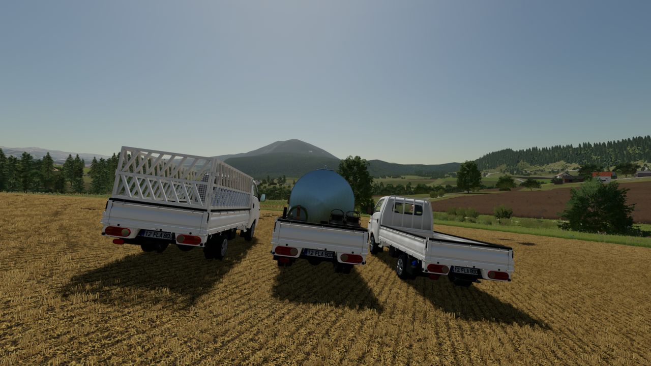 Hyundai H100